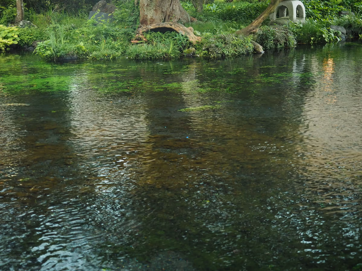 投稿写真：富士宮本宮浅間大社　湧玉池