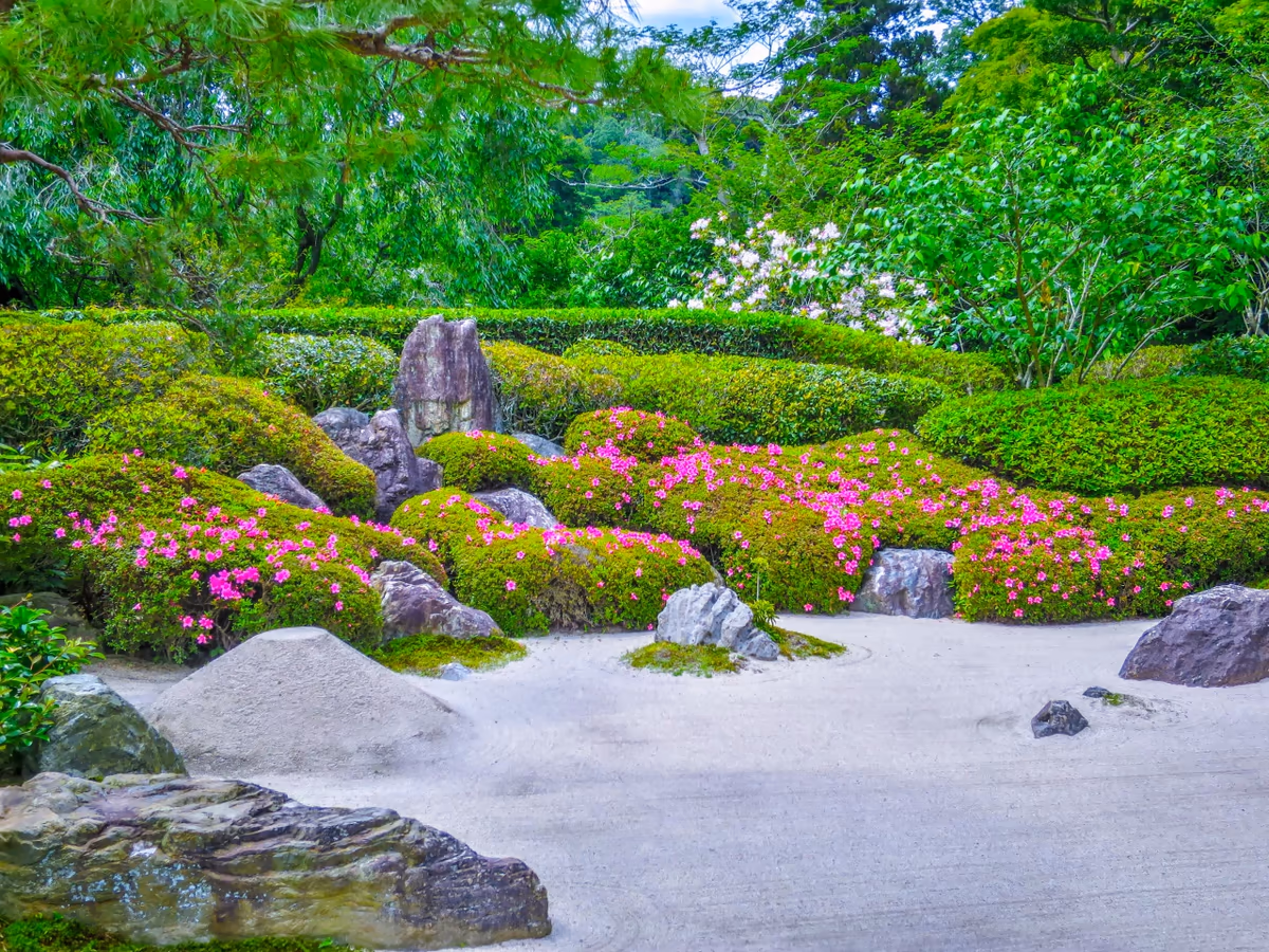 投稿写真：石庭とサツキ