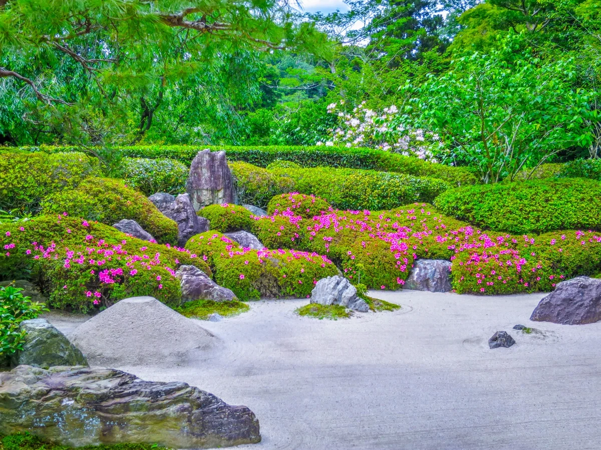 投稿写真：石庭とサツキ