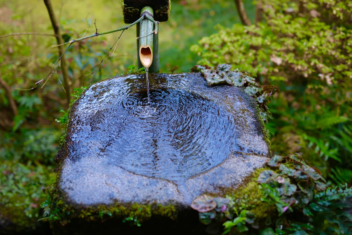 投稿写真：2017年 1月 京都