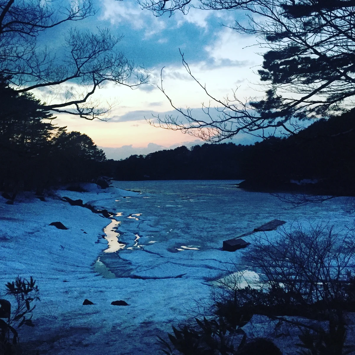 投稿写真：もうすぐ春