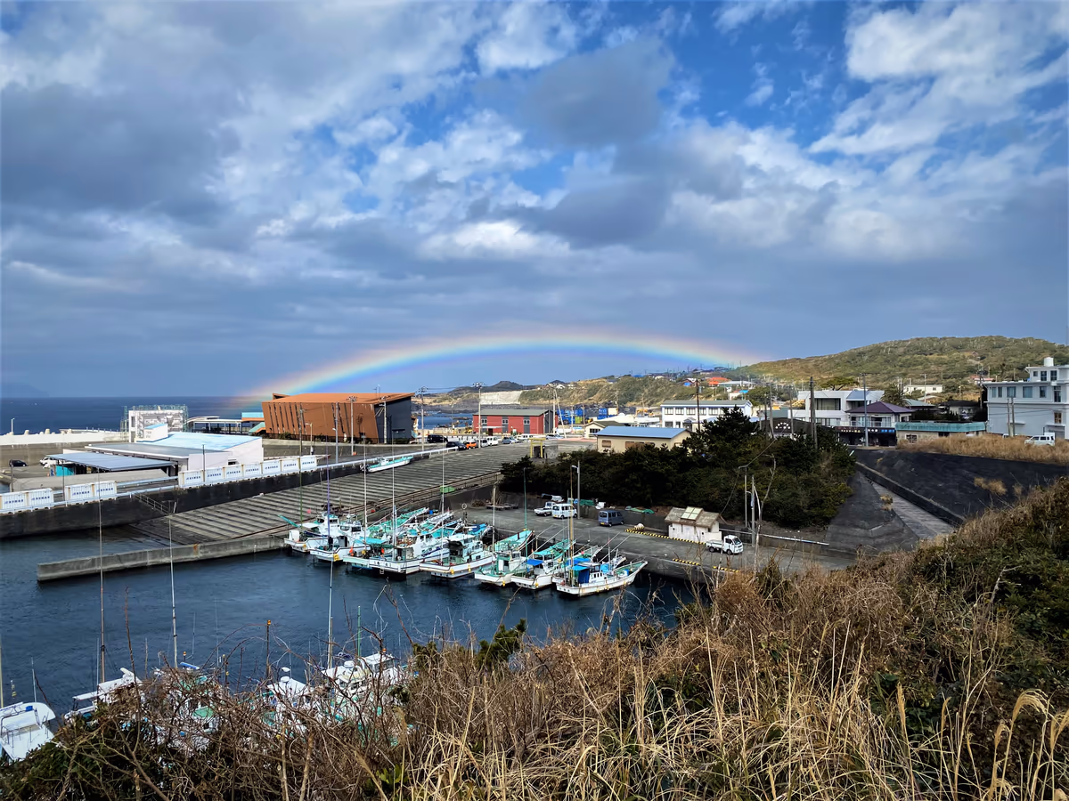 投稿写真：完璧な低いアーチ