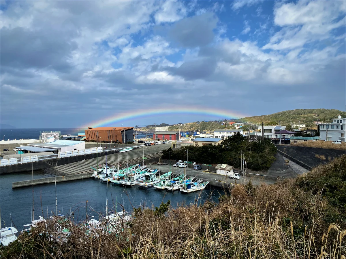 投稿写真：完璧な低いアーチ