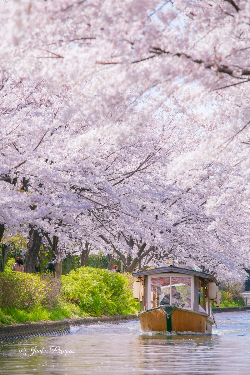 投稿写真：伏見十石船