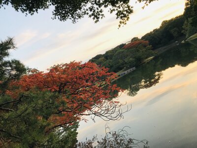  | 絶景事典