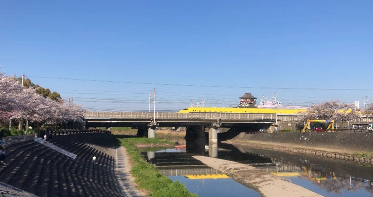 投稿写真：桜とドクターイエロー