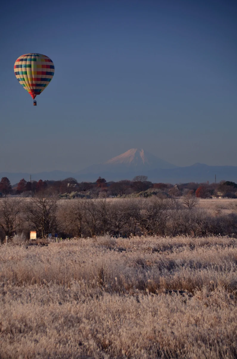 投稿写真：冬の枯野の熱気球