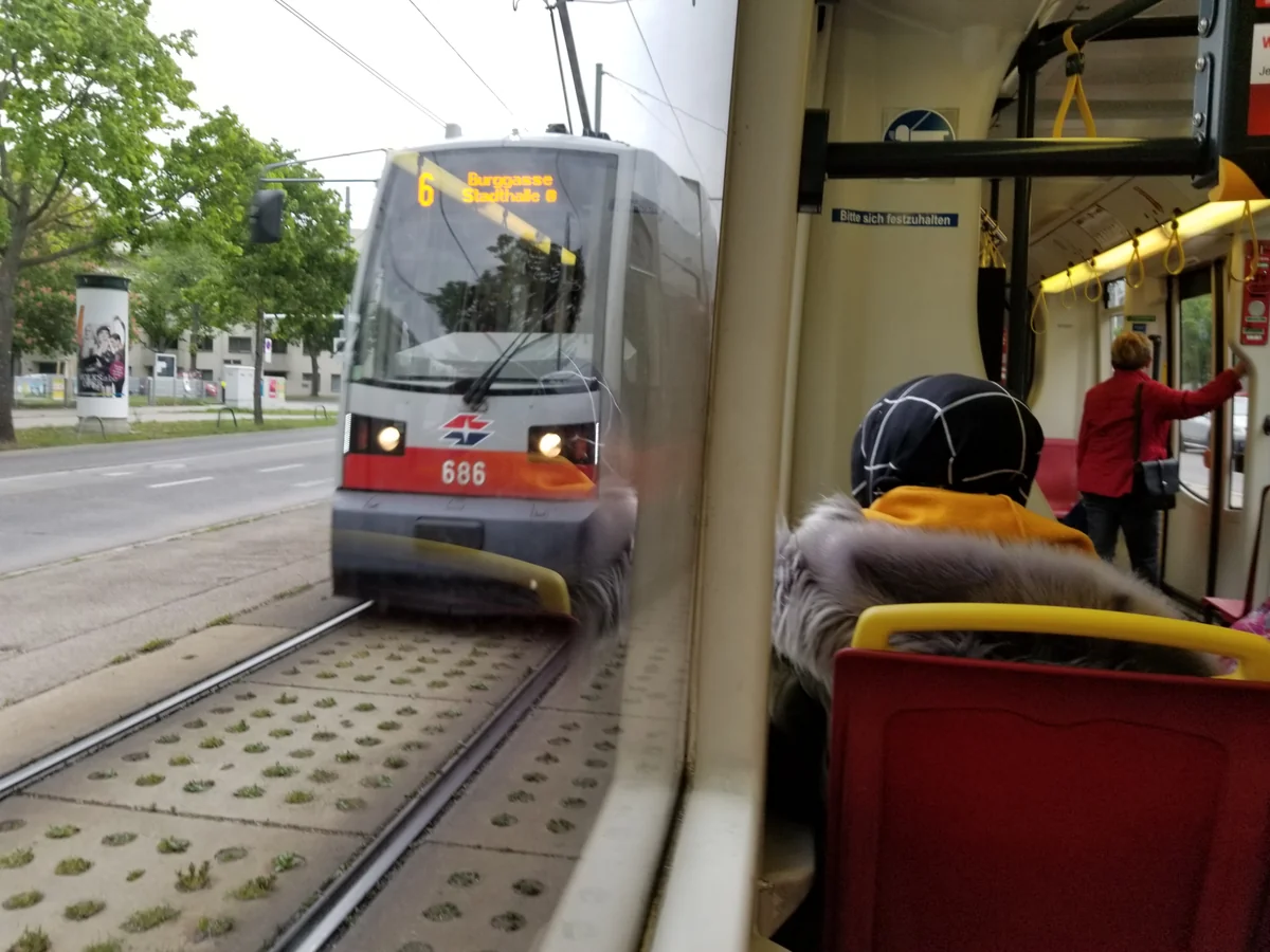 投稿写真：ウィーン