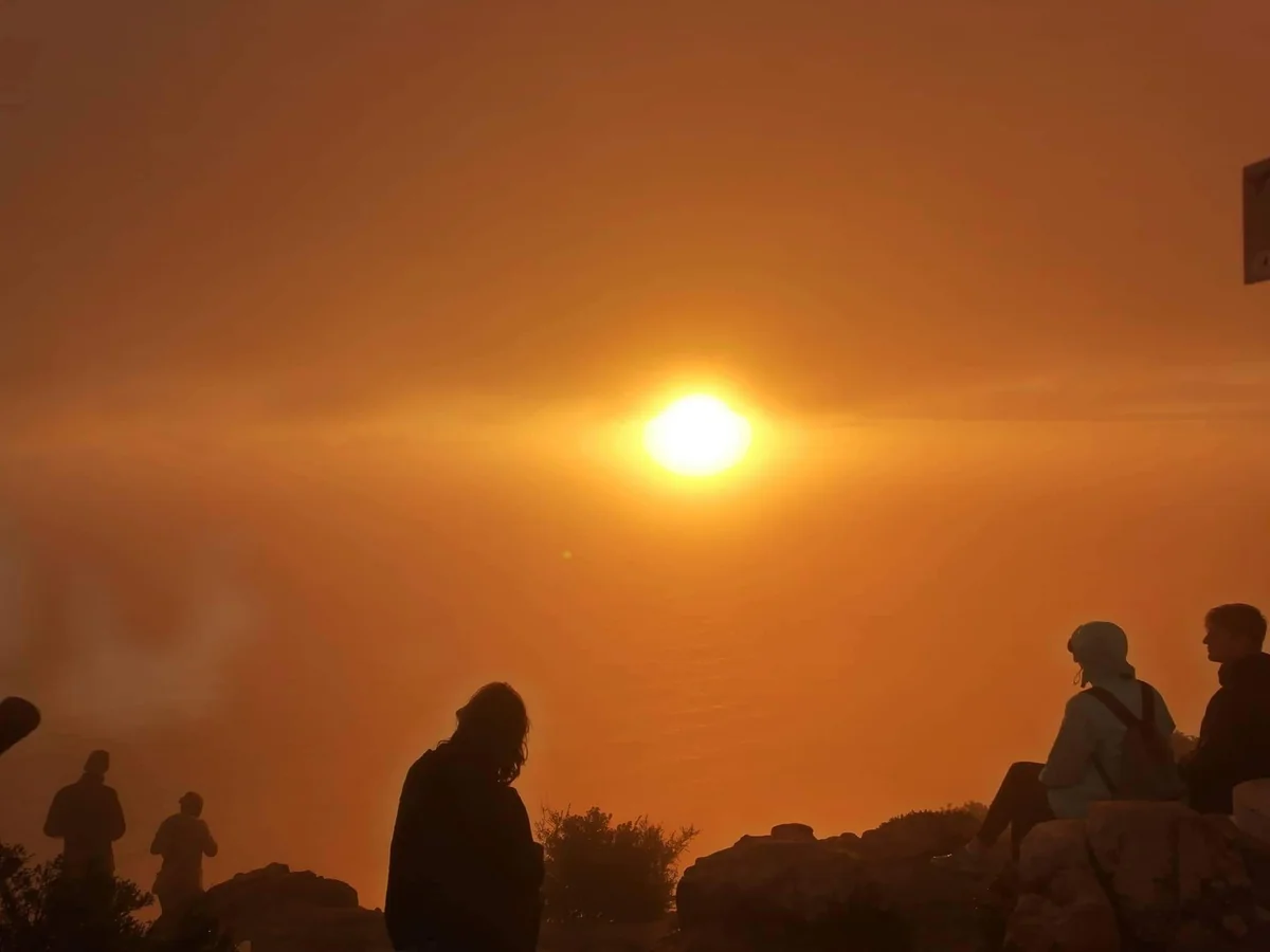 投稿写真：ライオンズヘッド