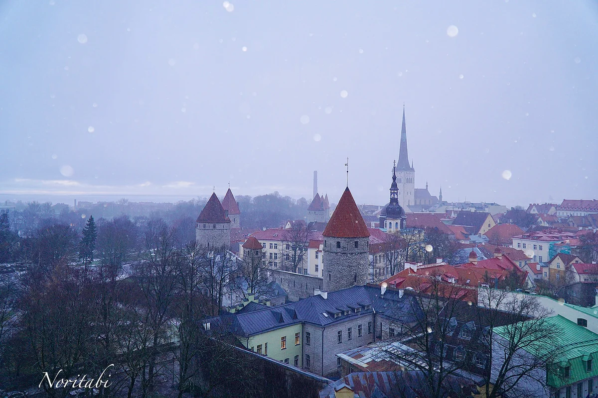投稿写真：★Tallinn★