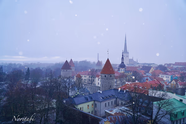 投稿：★Tallinn★