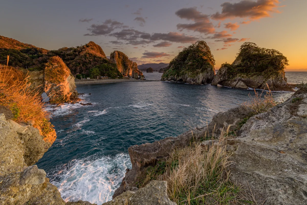 投稿写真：白亜紀