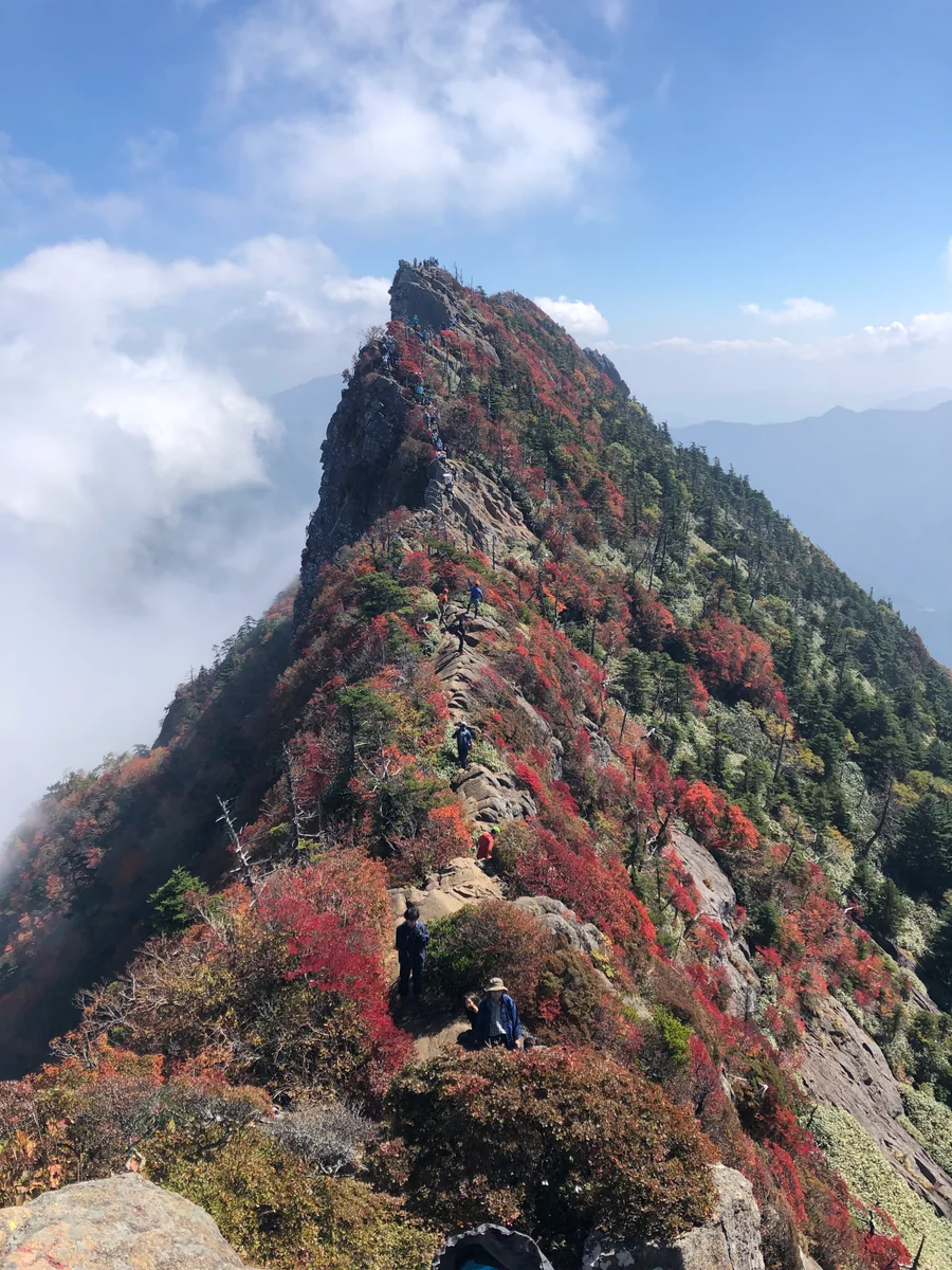 投稿写真：石鎚山