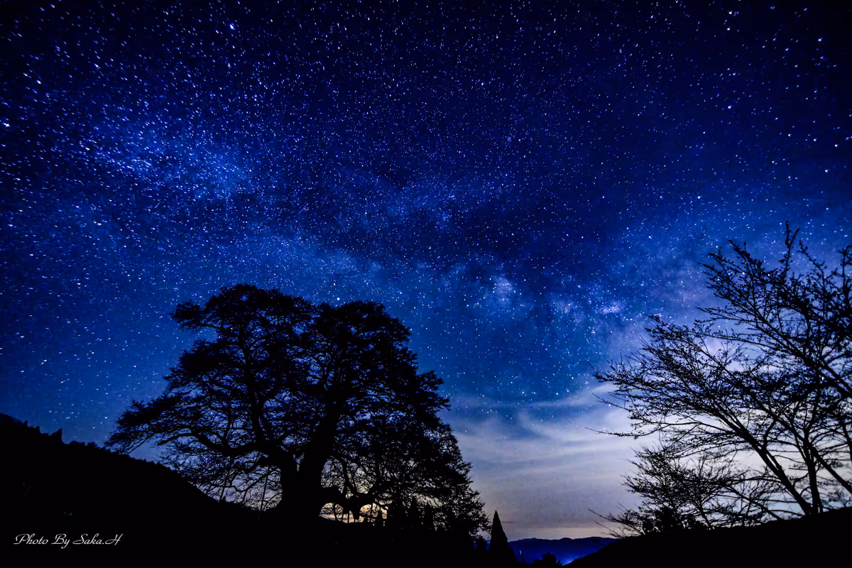 投稿写真：星に願いを