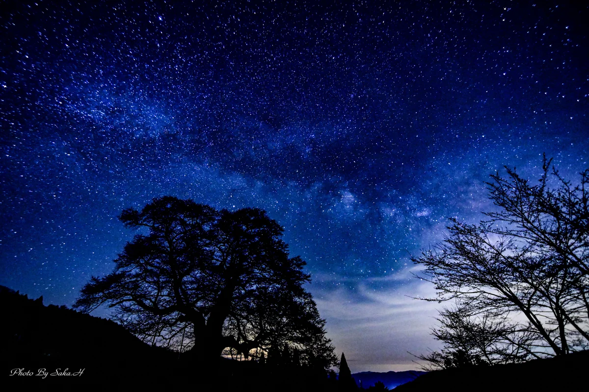 投稿写真：星に願いを