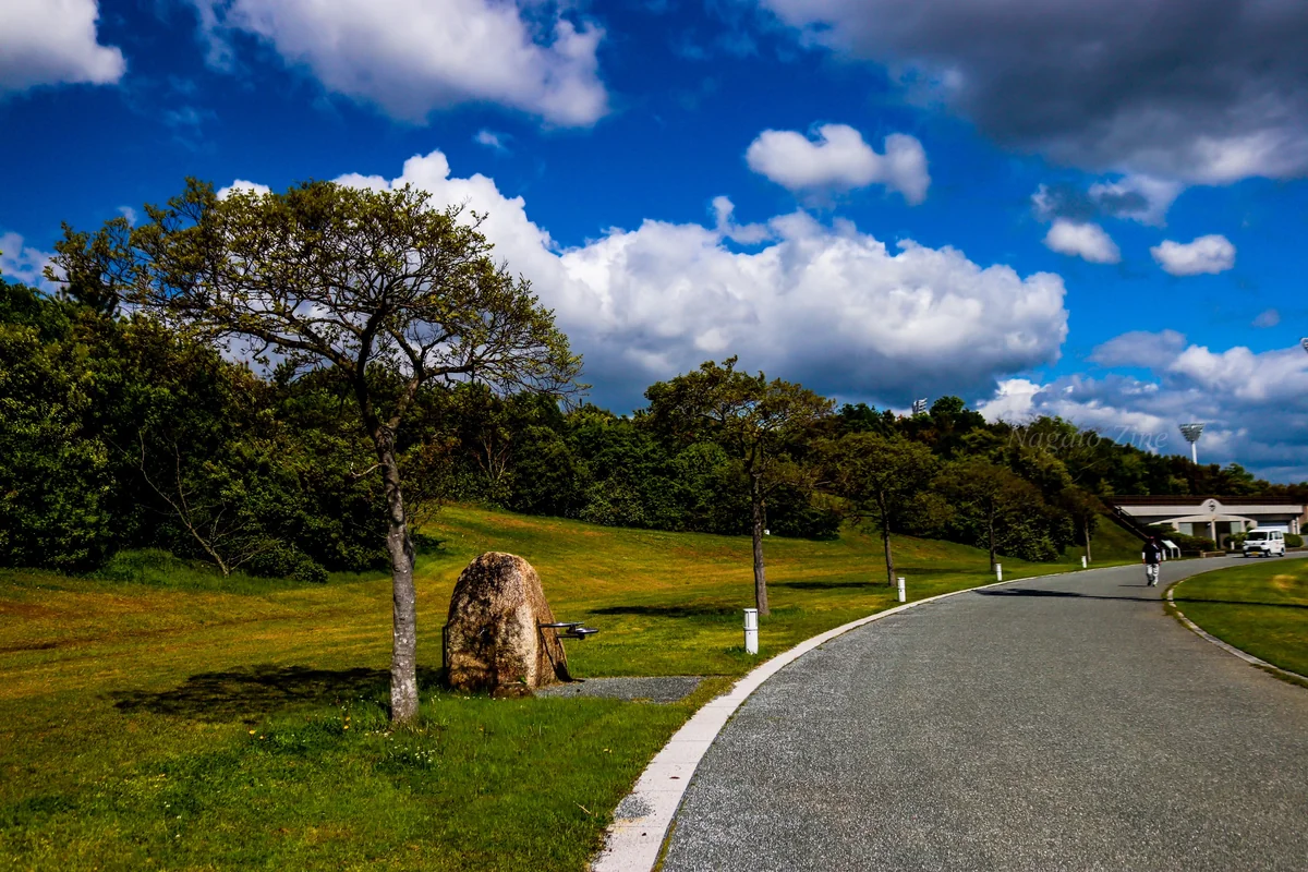 投稿写真：山口県きらら浜記念公園