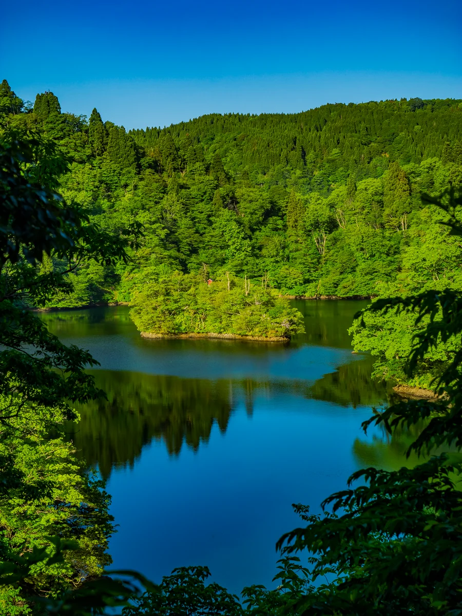 投稿写真：新緑の淡海湖