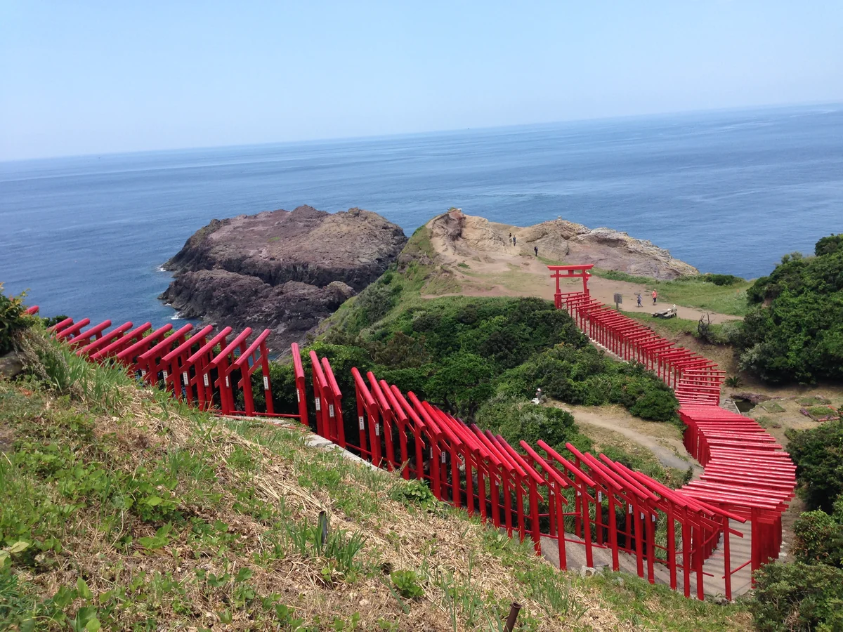 投稿写真：鳥居のトンネル