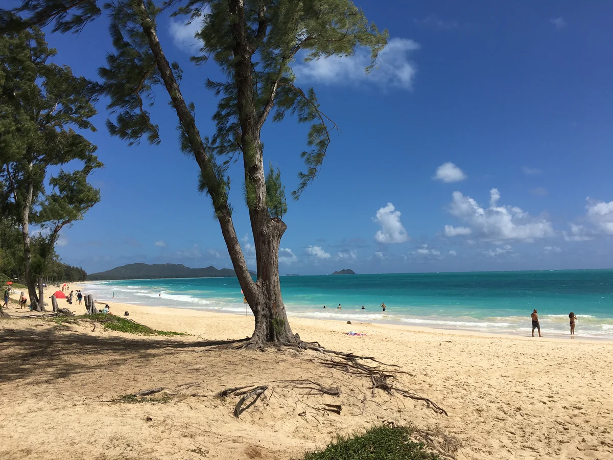 投稿写真：ワイマナロビーチ