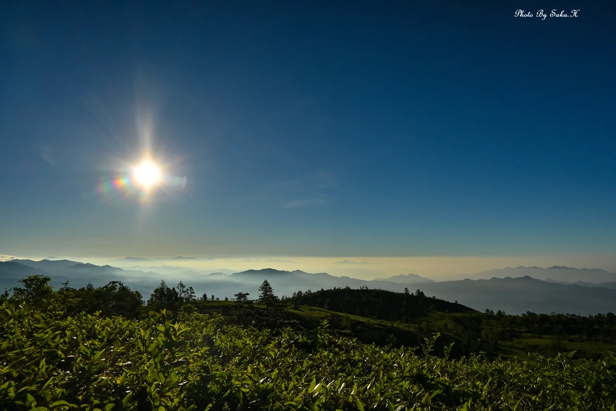 投稿写真：彩光