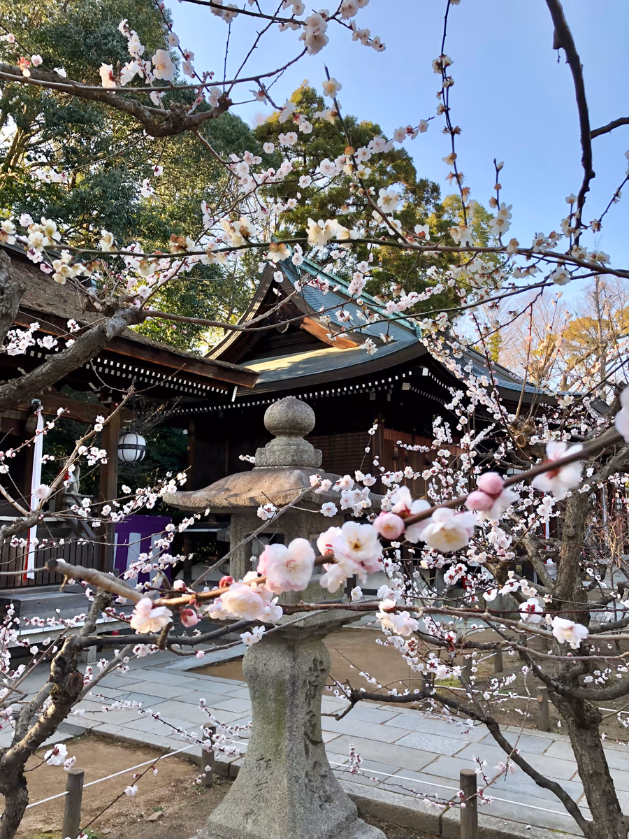 投稿写真：北野天満宮
