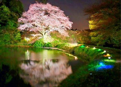  | 絶景事典