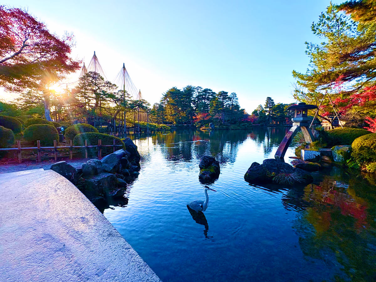 投稿写真：秋、朝日に照らされる兼六園
