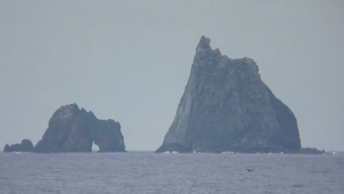 投稿写真：三本岳とクジラ
