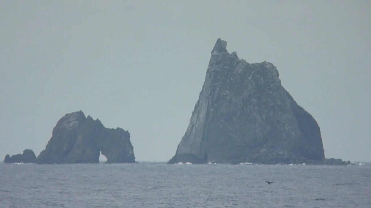 投稿写真：三本岳とクジラ