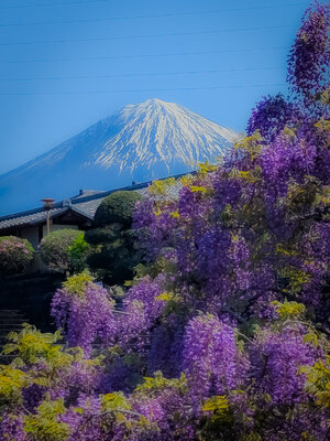  | 絶景事典