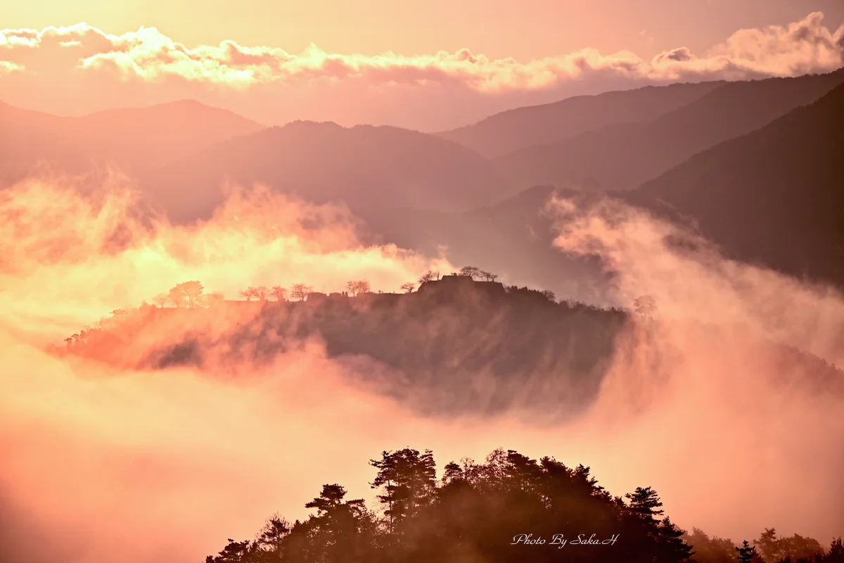 投稿写真：暴れる雲海