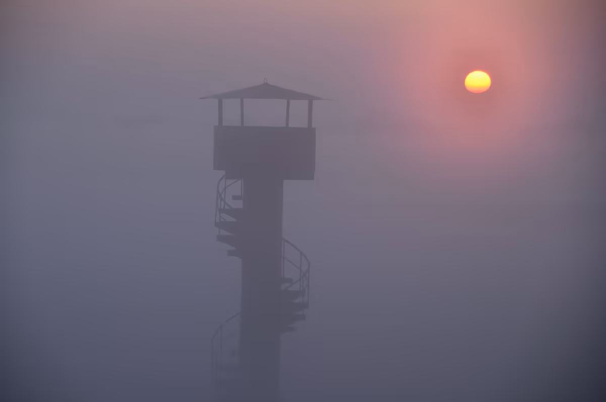 投稿写真：渡良瀬遊水地　朝日