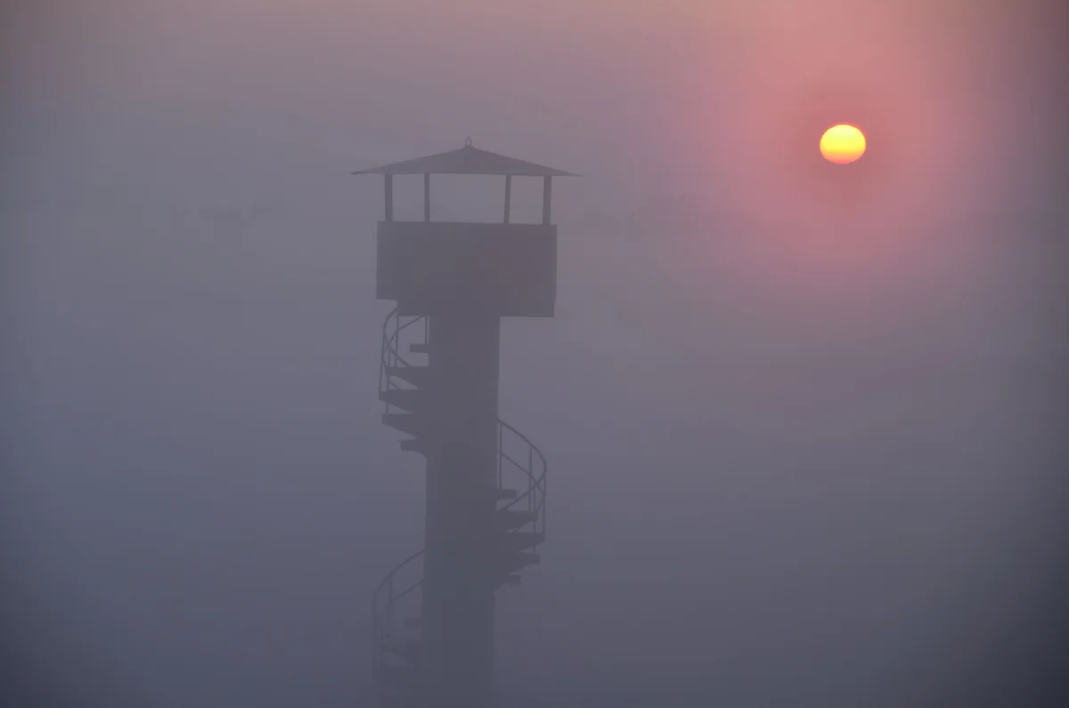投稿写真：渡良瀬遊水地　朝日