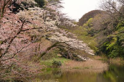  | 絶景事典