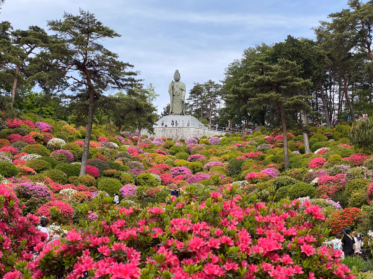 投稿写真：極楽浄土