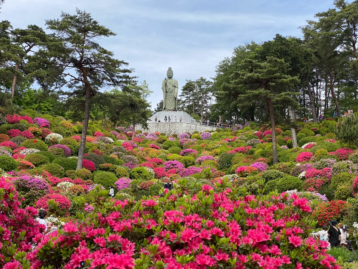 投稿写真：極楽浄土