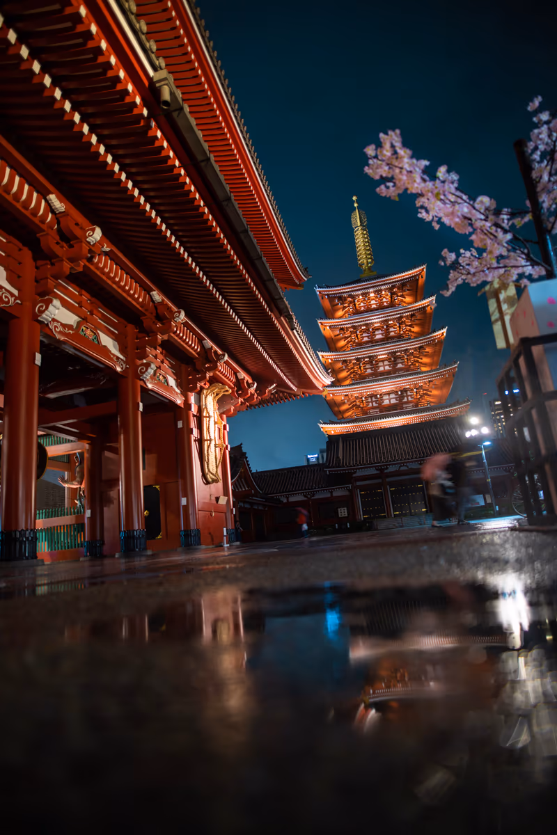 投稿写真：雨の日の浅草寺五重塔