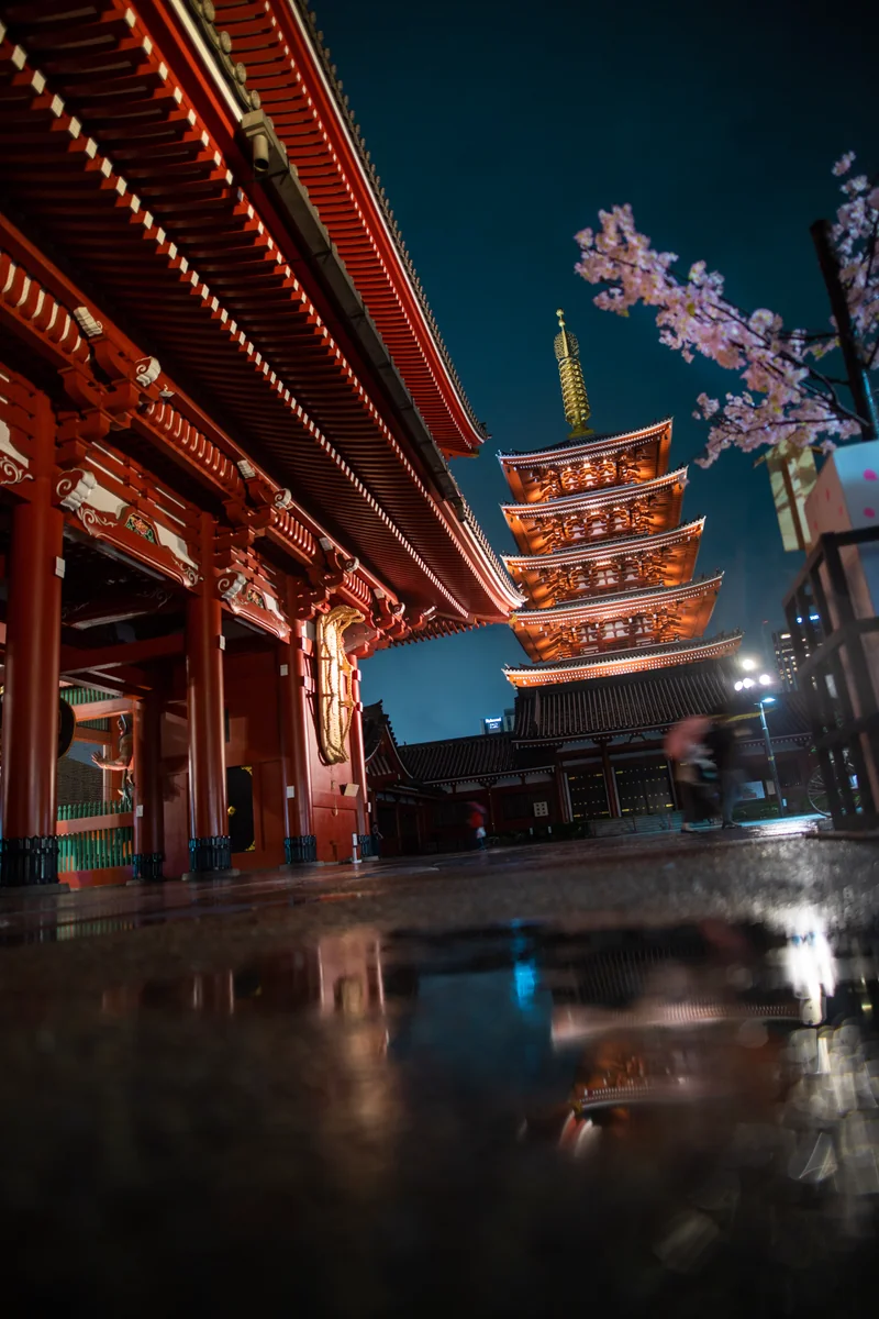 投稿写真：雨の日の浅草寺五重塔