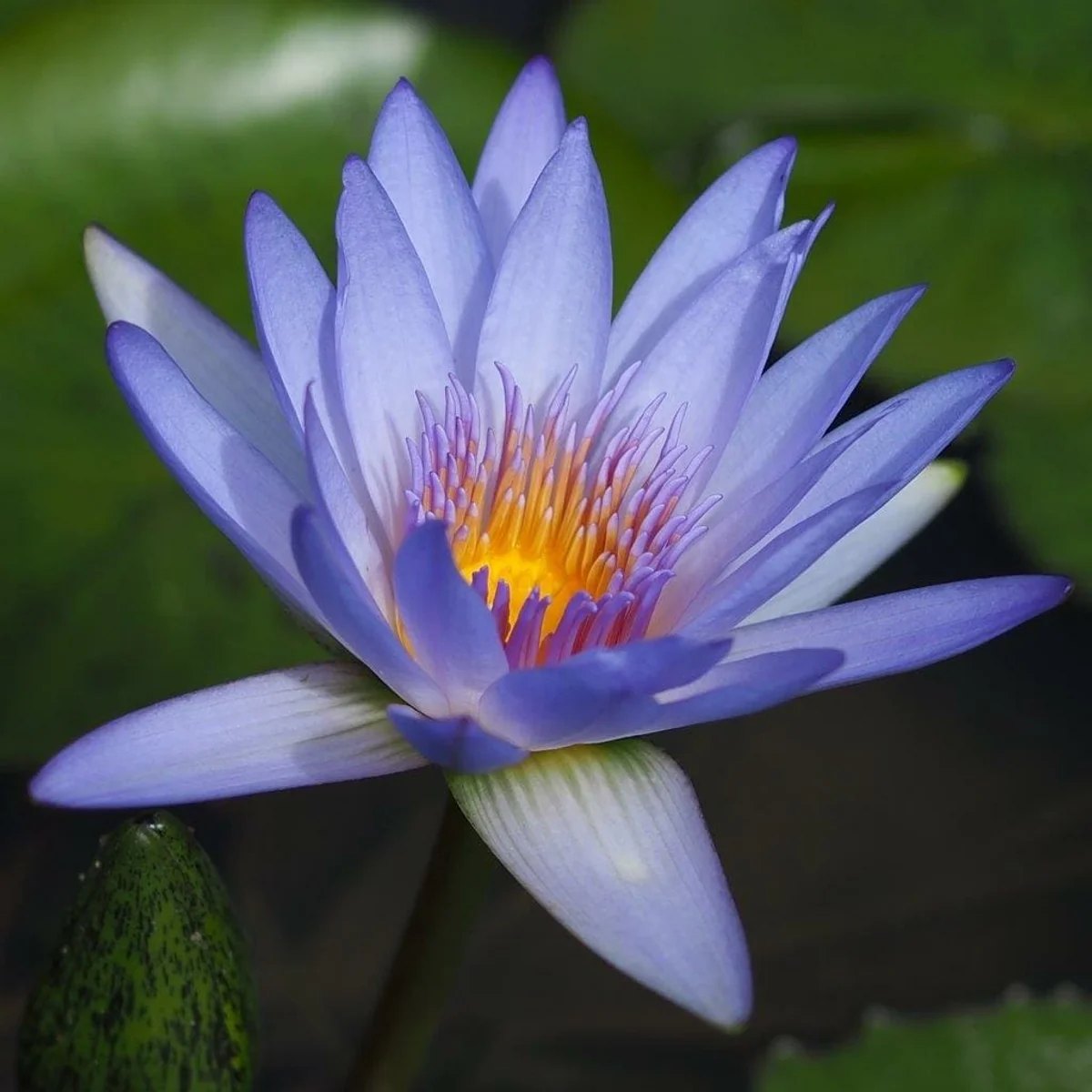 sietemares_1984さんの投稿写真