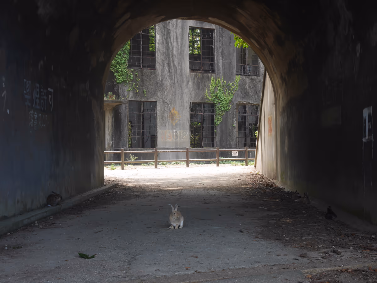 投稿写真：009大久野島（広島）