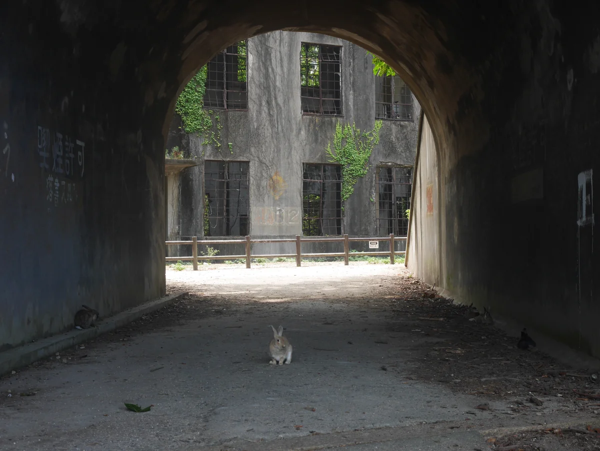 投稿写真：009大久野島（広島）