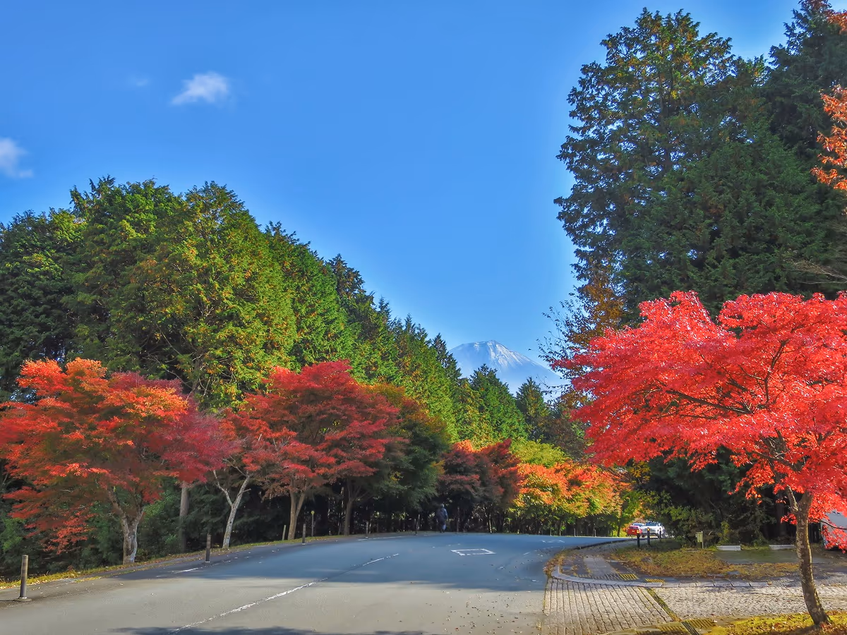 投稿写真：紅葉富士