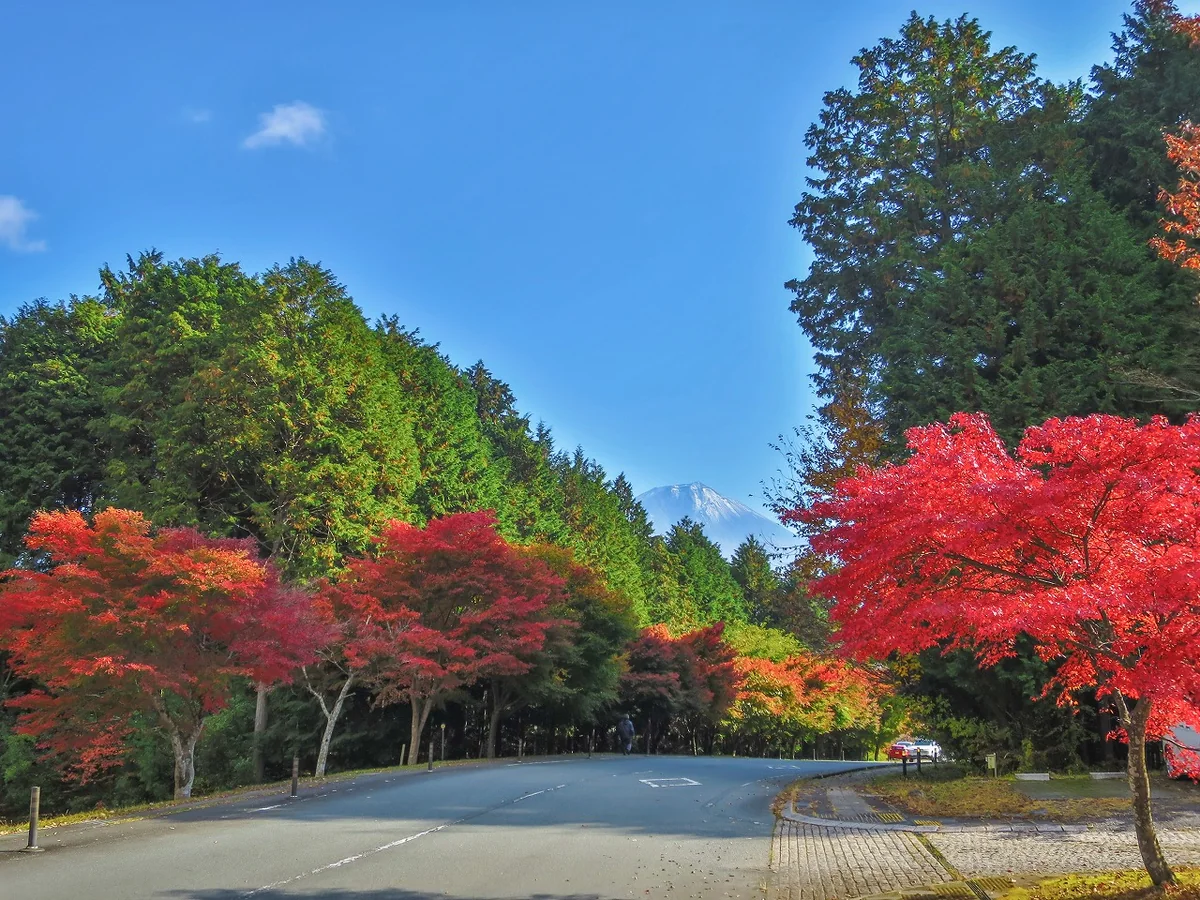 投稿写真：紅葉富士