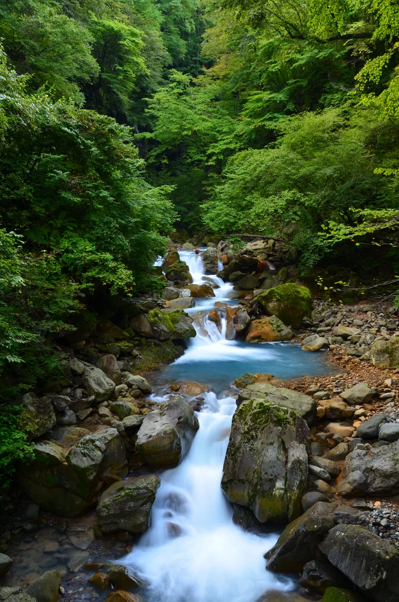 投稿写真：スッカン沢　水の流れ