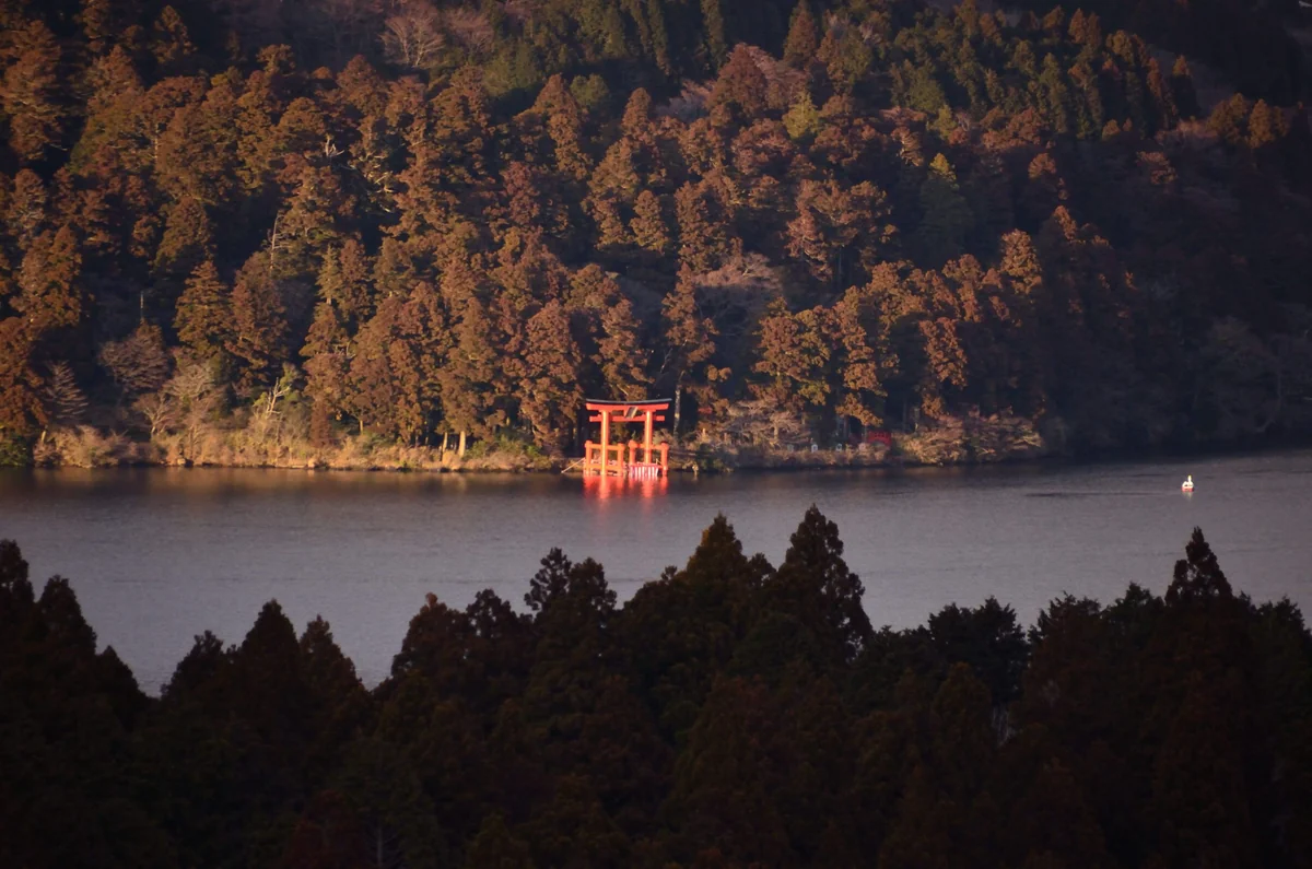 投稿写真：箱根神社　鳥居