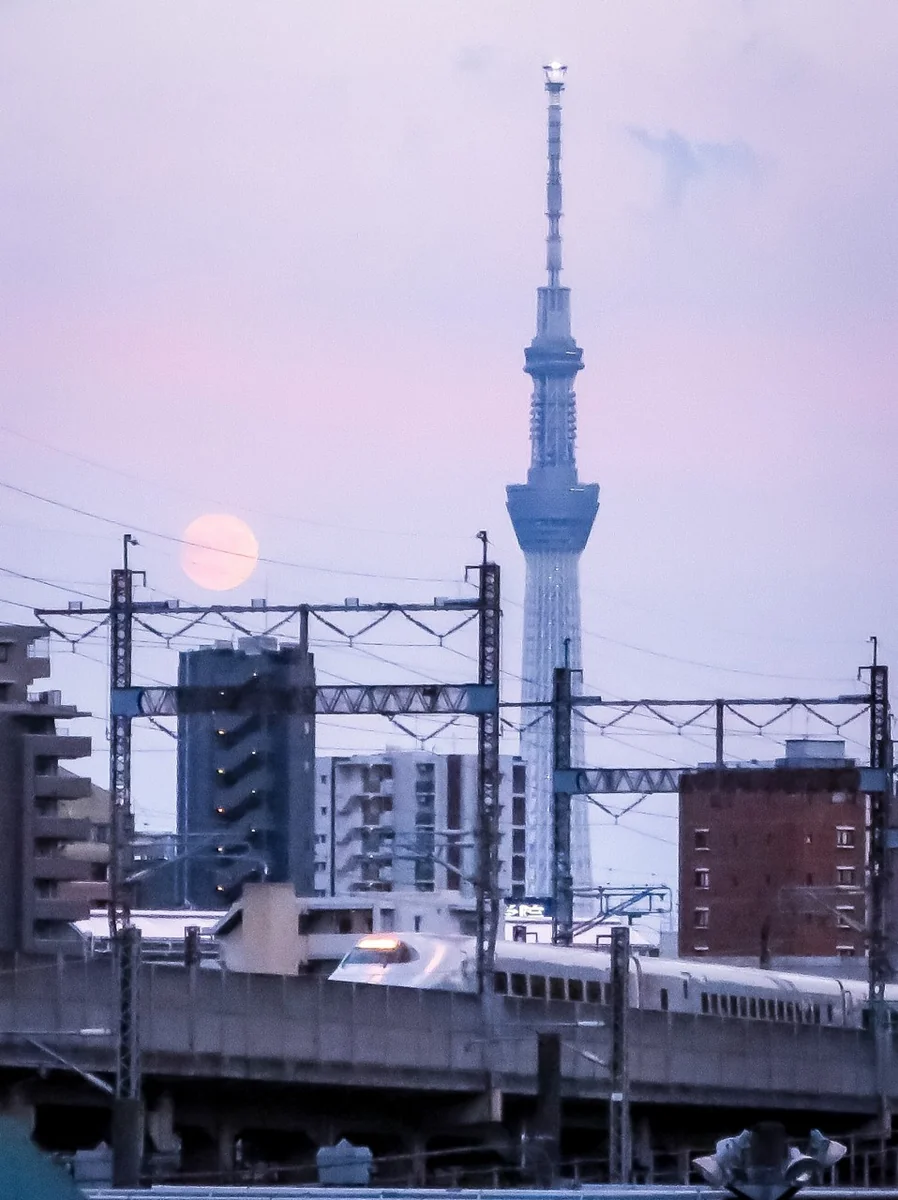 投稿写真：小望月とスカイツリーとE2系新幹線