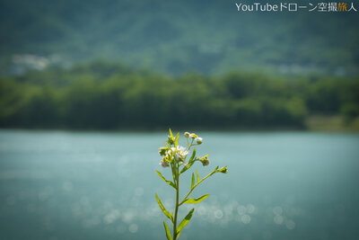  | 絶景事典