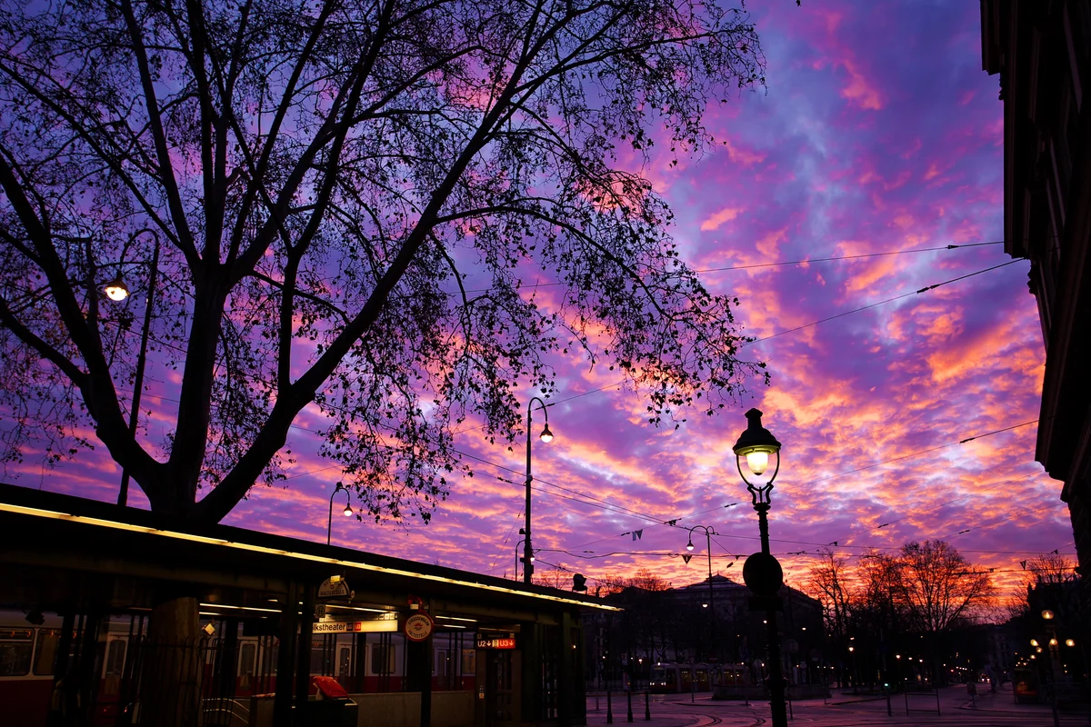 投稿写真：Viennaの朝