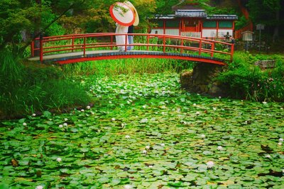  | 絶景事典
