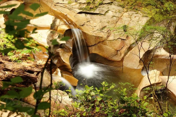 投稿：カナダ　バンクーバー島　カンバーランドポットホールズ